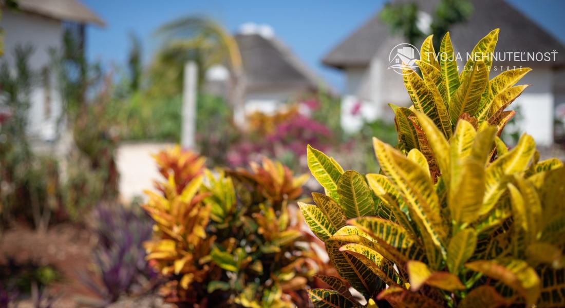 Zaria resort Zanzibar - luxusný poschodový dom, balkón s výhľadom na more a záhradou pre dve osoby D08