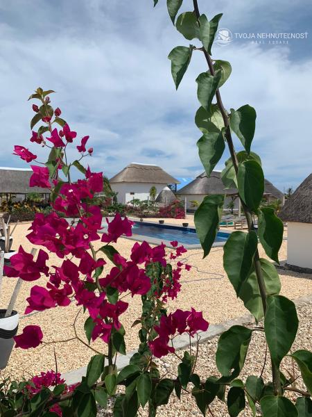 Zaria resort Zanzibar - luxusný poschodový dom, balkón s výhľadom na more a záhradou pre dve osoby D08