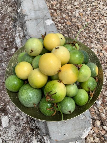 Zaria resort Zanzibar - luxusný poschodový dom, balkón s výhľadom na more a záhradou pre dve osoby D08