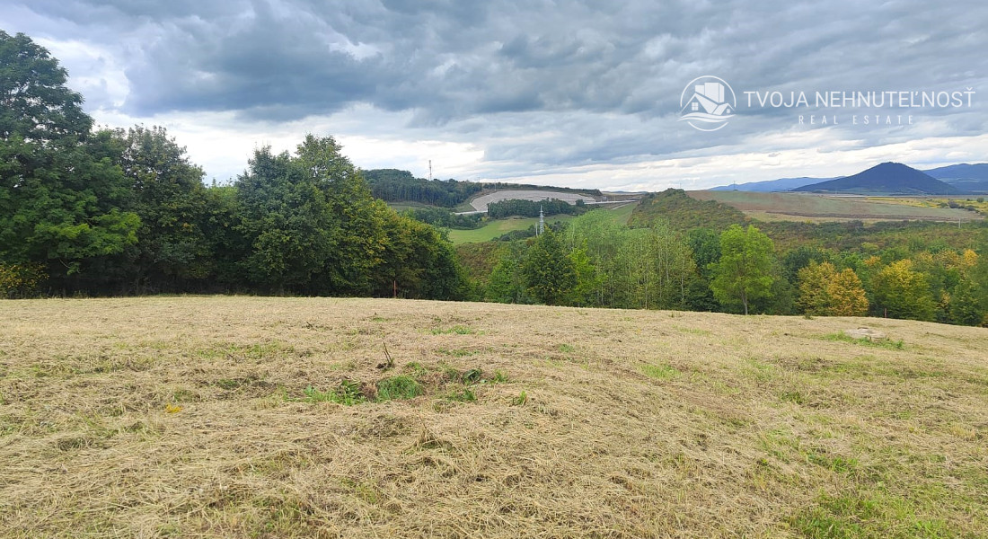 Poľnohospodárska pôda v meste - na rastlinnú alebo živočíšnu výrobu, extravilán