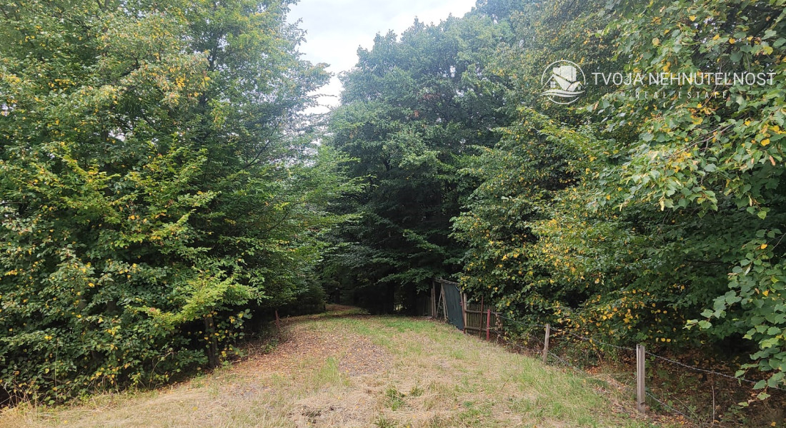 Poľnohospodárska pôda v meste - na rastlinnú alebo živočíšnu výrobu, extravilán