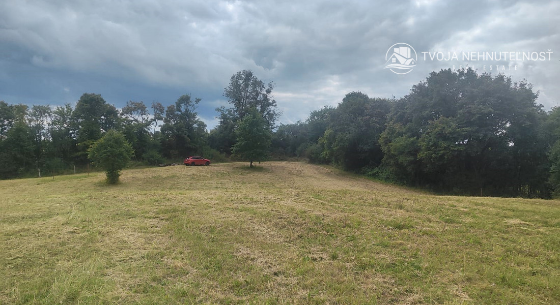 Poľnohospodárska pôda v meste - na rastlinnú alebo živočíšnu výrobu, extravilán