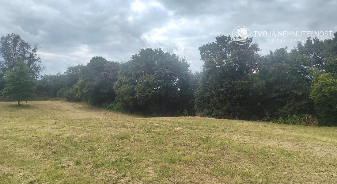 Pozemok v meste - 2408 m2 na rastlinnú alebo živočíšnu výrobu