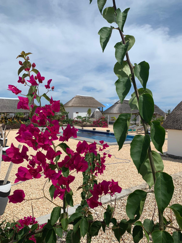 Zaria resort Zanzibar - luxusný poschodový dom, balkón s výhľadom na more a záhradou pre dve osoby D08