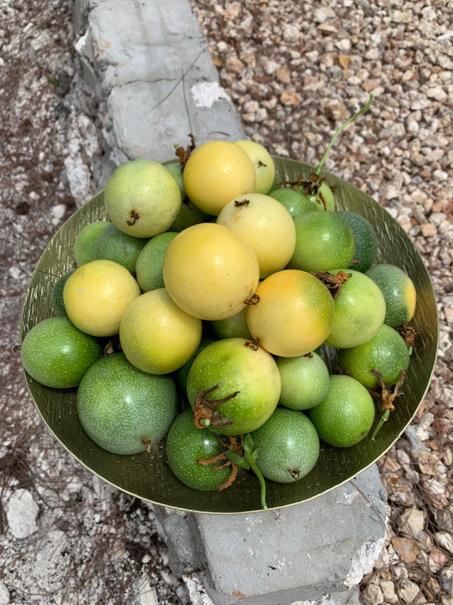 Zaria resort Zanzibar - luxusný poschodový dom, balkón s výhľadom na more a záhradou pre dve osoby D08