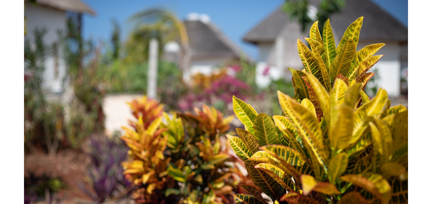 Zaria resort Zanzibar - dovolenkový prenájom bungalovu so záhradou pre dve osoby D07