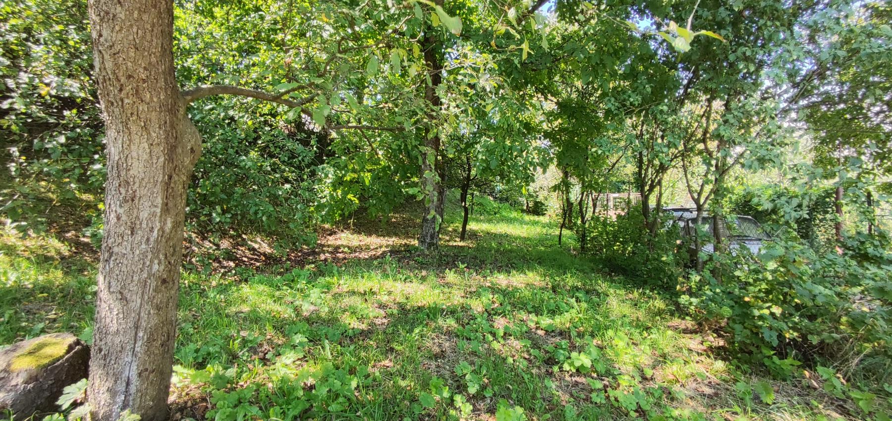 Rodinný dom Hanušovce so skvelým potenciálom pre zručného majstra so vzťahom k histórii