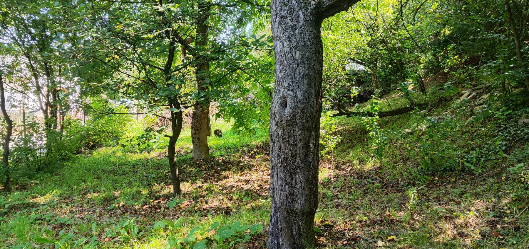 Rodinný dom Hanušovce so skvelým potenciálom pre zručného majstra so vzťahom k histórii