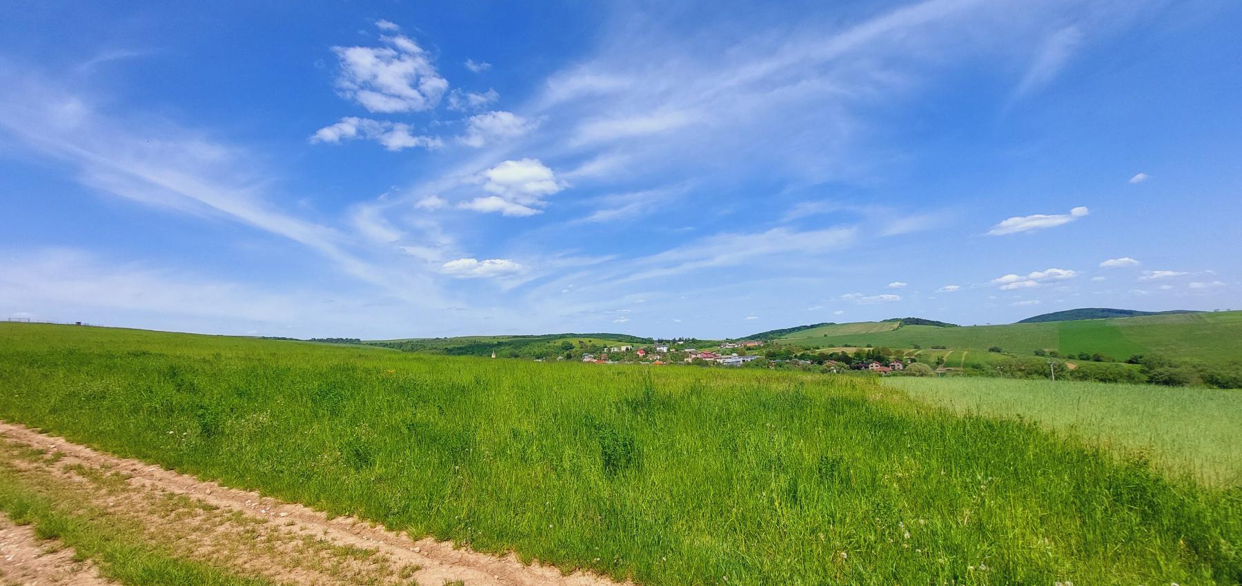 Perspektívny investičný pozemok na krátky horizont - určený na výstavbu domov, obec Čelovce, okres Prešov