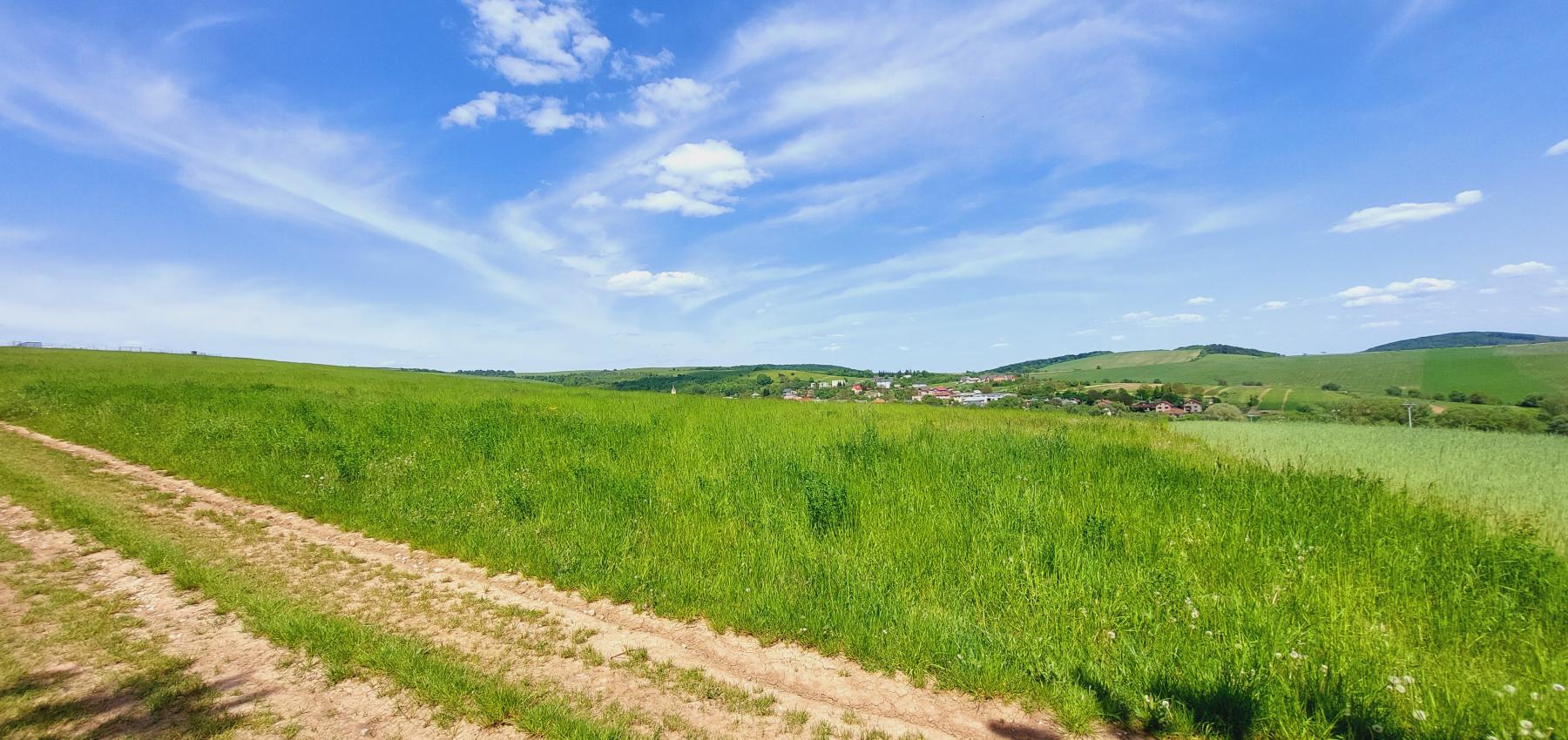 Perspektívny investičný pozemok na krátky horizont - určený na výstavbu domov, obec Čelovce, okres Prešov