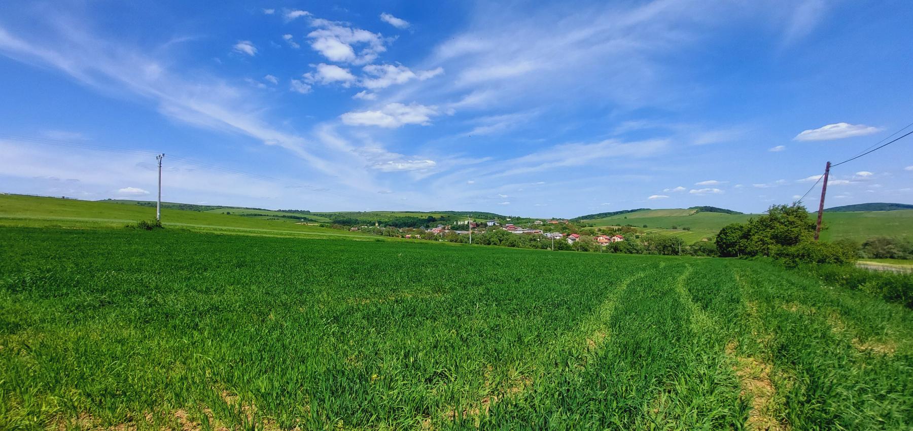 Perspektívny investičný pozemok na krátky horizont - určený na výstavbu domov, obec Čelovce, okres Prešov