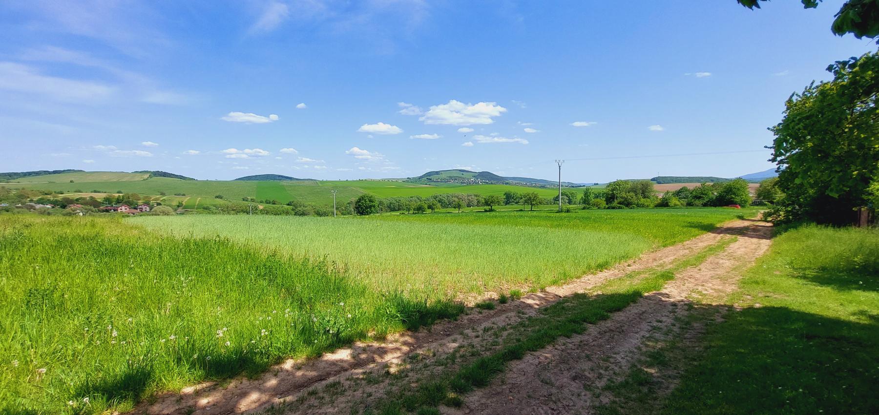 Perspektívny investičný pozemok na krátky horizont - určený na výstavbu domov, obec Čelovce, okres Prešov
