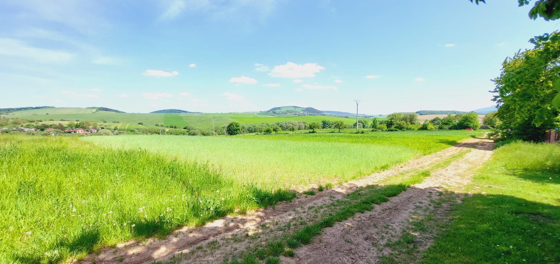 Perspektívny investičný pozemok na krátky horizont - určený na výstavbu domov, obec Čelovce, okres Prešov