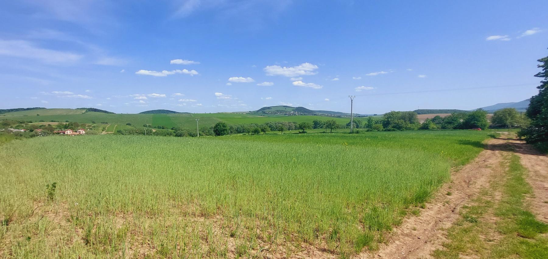Perspektívny investičný pozemok na krátky horizont - určený na výstavbu domov, obec Čelovce, okres Prešov