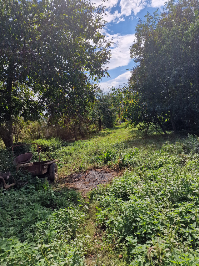 Perspektívny malý rodinný domček na budúcu realizáciu bývania podľa vlastných predstáv, Drienovská Nová Ves, intravilán