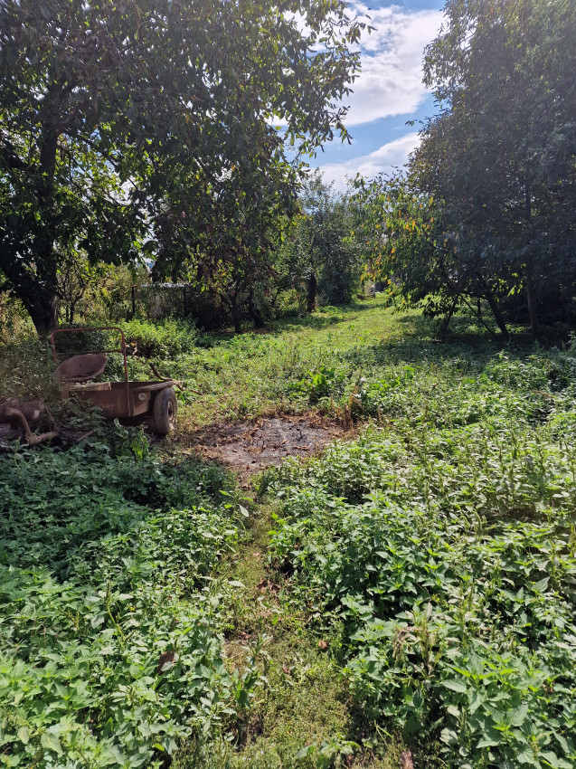 Perspektívny malý rodinný domček na budúcu realizáciu bývania podľa vlastných predstáv, Drienovská Nová Ves, intravilán