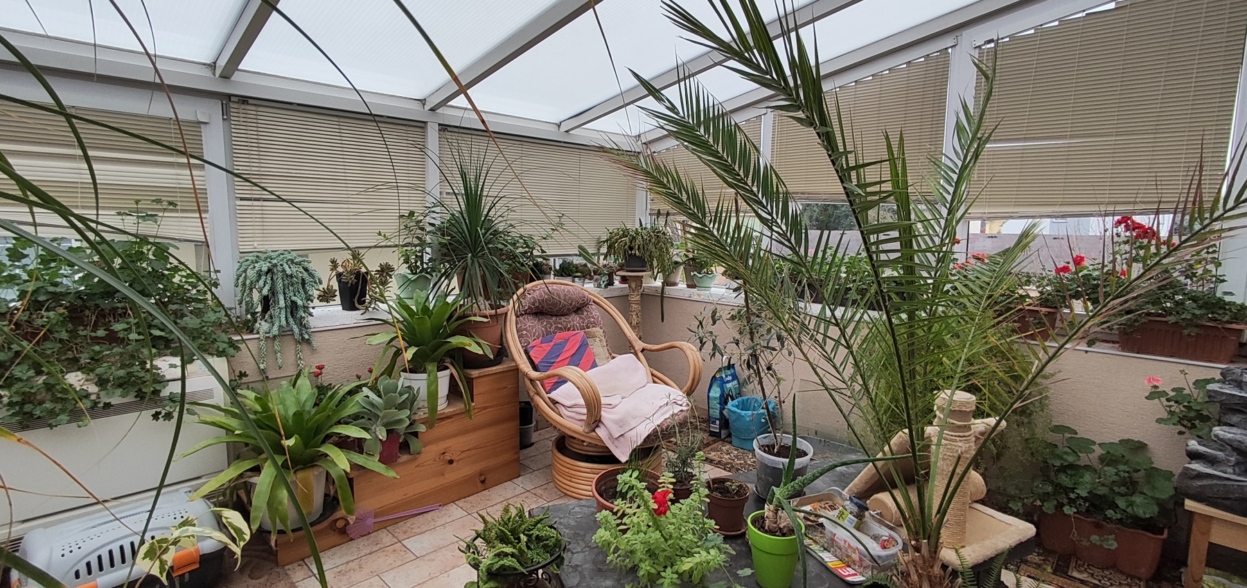 Perspektívny 5 izbový rodinný dom s garážou a prístreškom pre auto, Ľubotice, rovinatý pozemok 600 m2, podpivničený