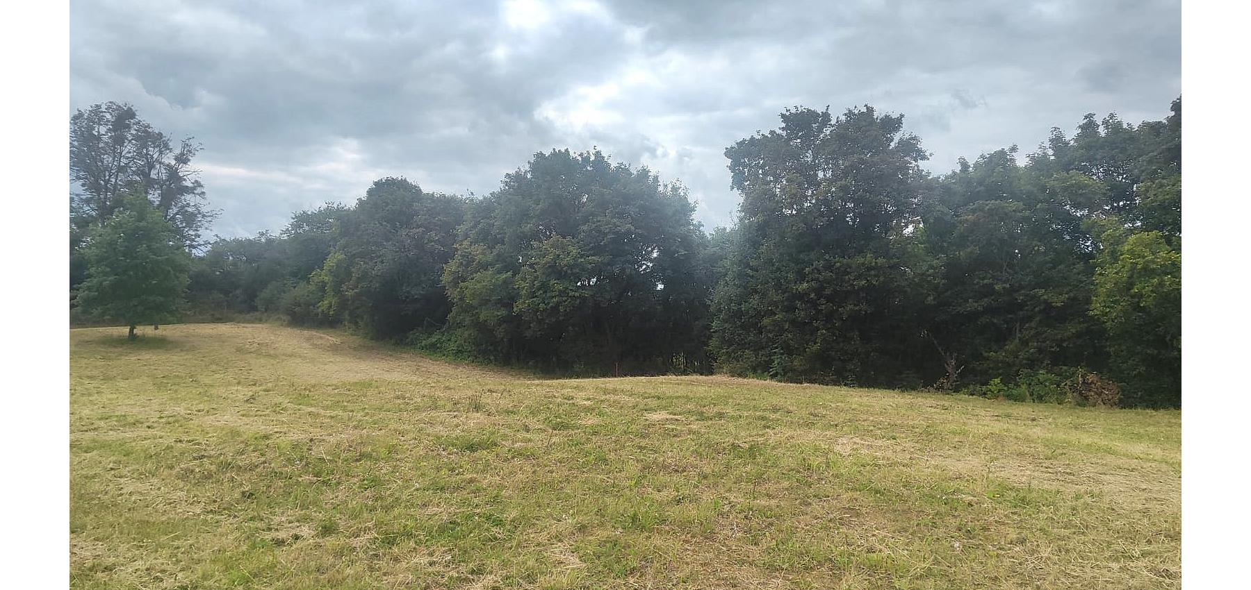 Poľnohospodárska pôda v meste - na rastlinnú alebo živočíšnu výrobu, extravilán