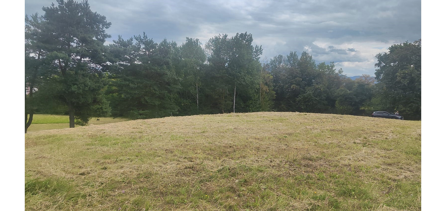 Poľnohospodárska pôda v meste - na rastlinnú alebo živočíšnu výrobu, extravilán