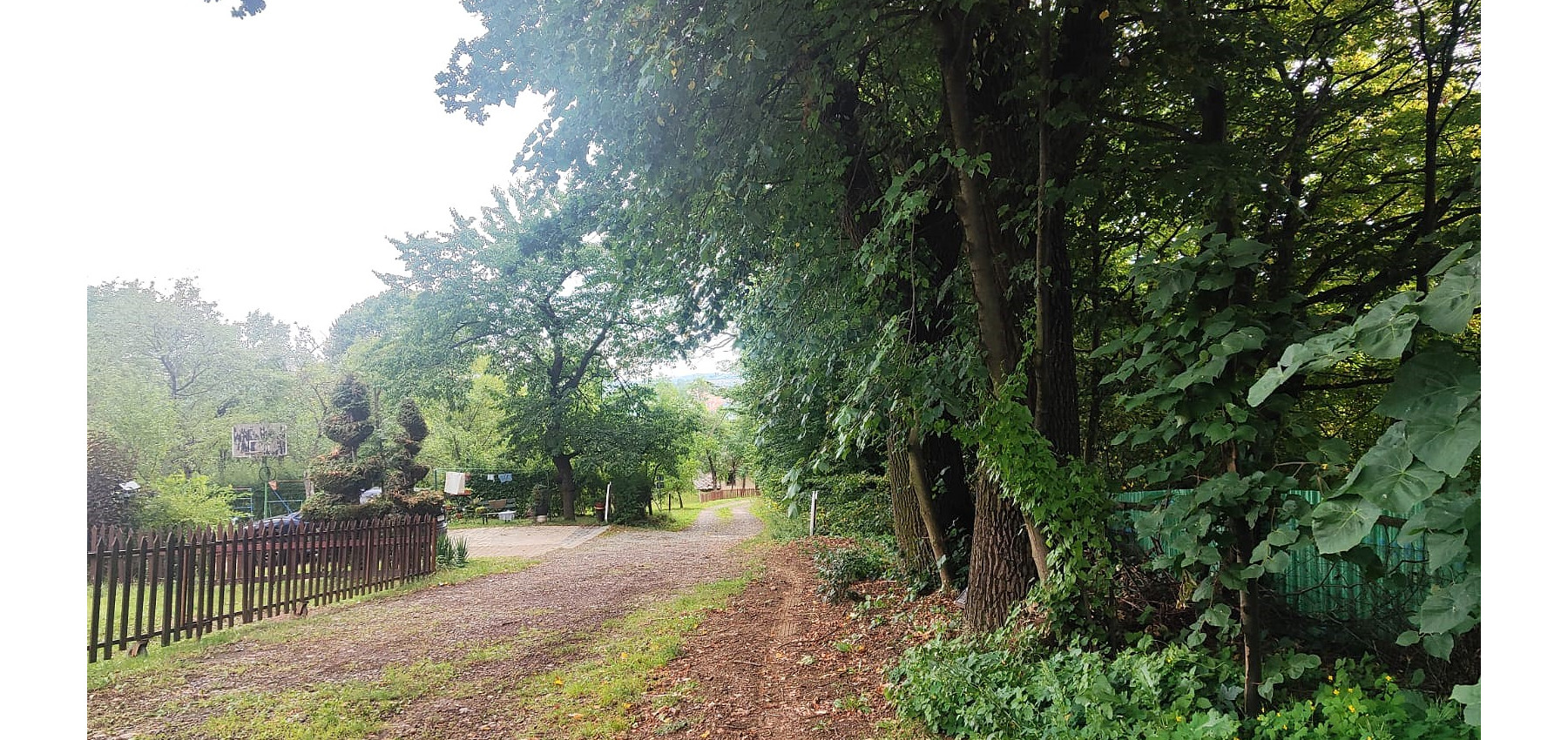 Pozemok v meste - 2408 m2 na rastlinnú alebo živočíšnu výrobu