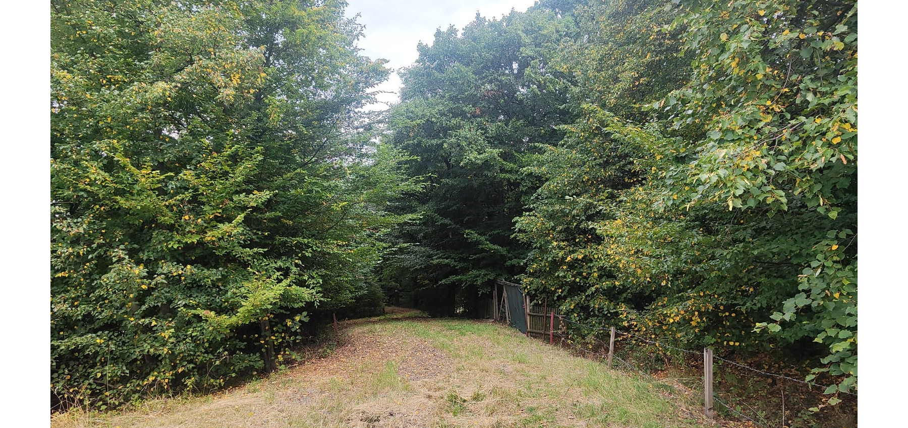 Pozemok v meste - 2408 m2 na rastlinnú alebo živočíšnu výrobu