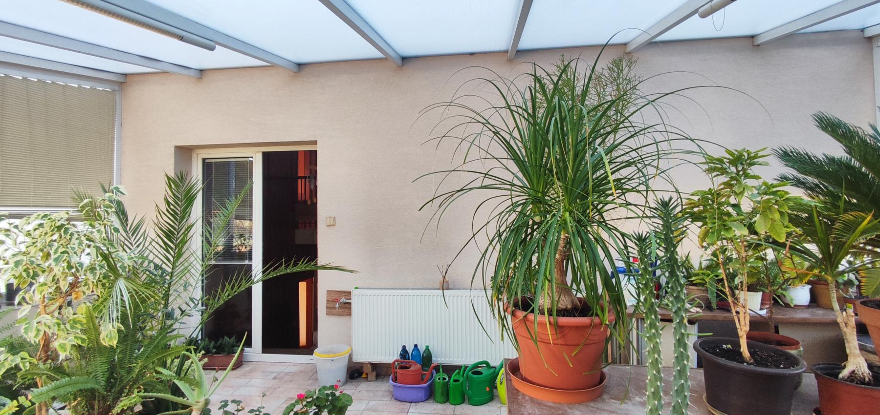 ZNÍŽENÁ CENA.... Dom pre rodinu - 5 izieb, garáž, prístrešok pre auto, slnečný pozemok 600 m2, altánok, podpivničený